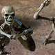Skeletons unfortunately not included